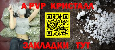 СК Бийск