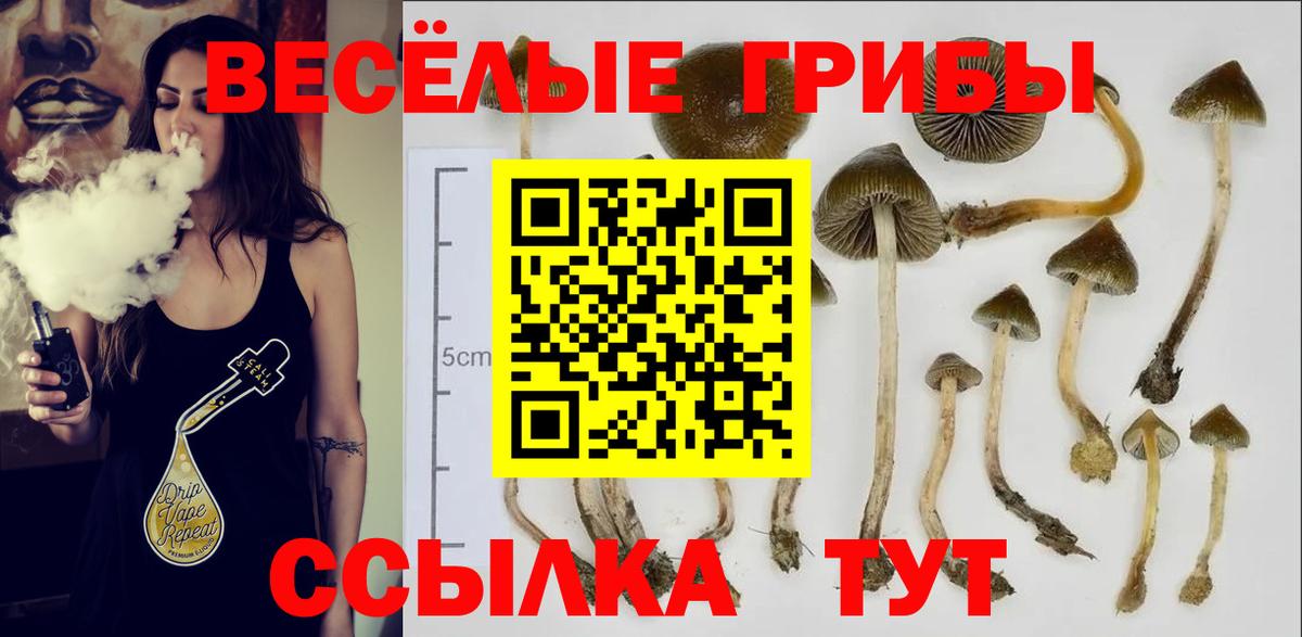 Псилоцибиновые грибы MAGIC MUSHROOMS Карпинск