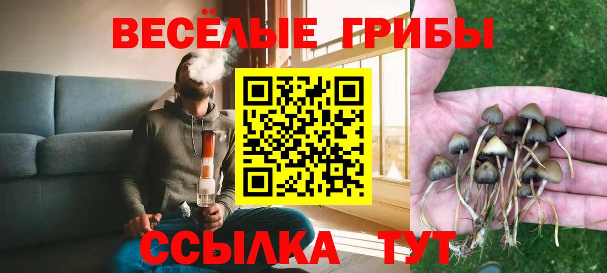 Карпинск  Галлюциногенные грибы MAGIC MUSHROOMS  Вход с VPN 